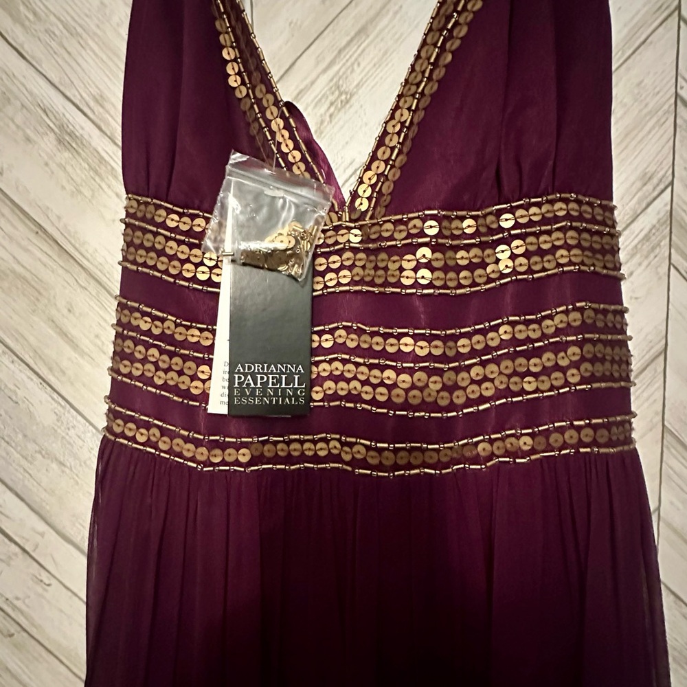 Adrianna Papell Silk Dress with Gold Detailing